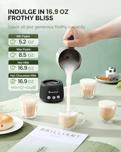 BasicFro 500 Electric Steamer and Frother — photo 5